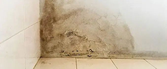 Rodapé de parede branca com manchas escuras de mofo subindo do piso